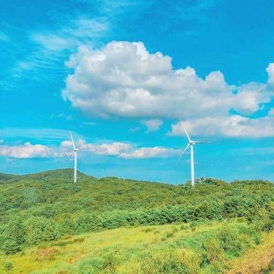 萌龙战记游戏下载