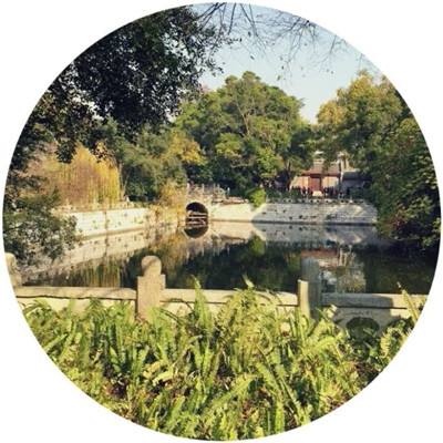 4399全民宫斗手游下载